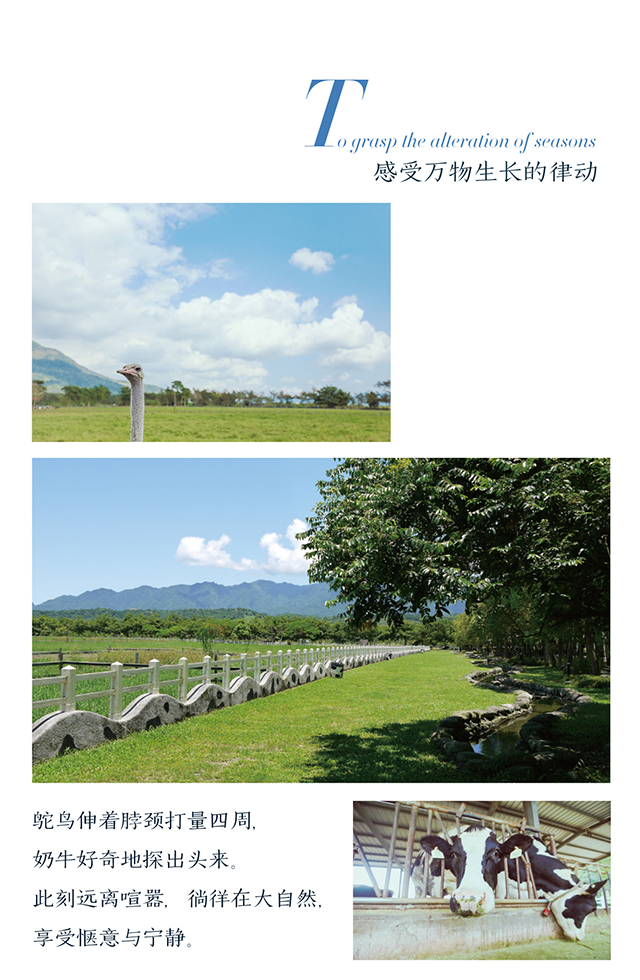 台湾微信-013.png