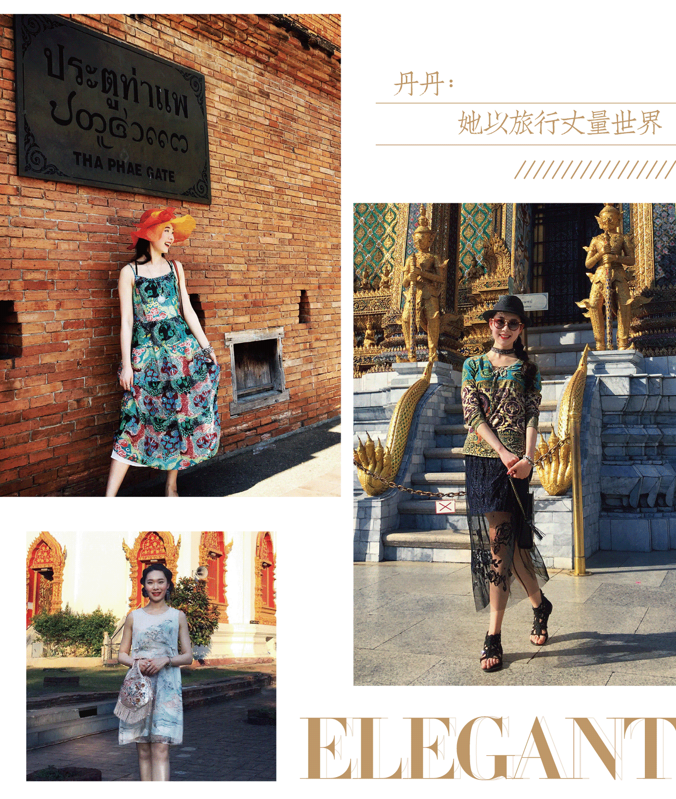 画板 1(2).png